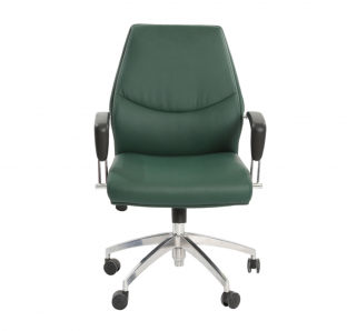 Apex Medium Back Chair | Blue Crown Furniture